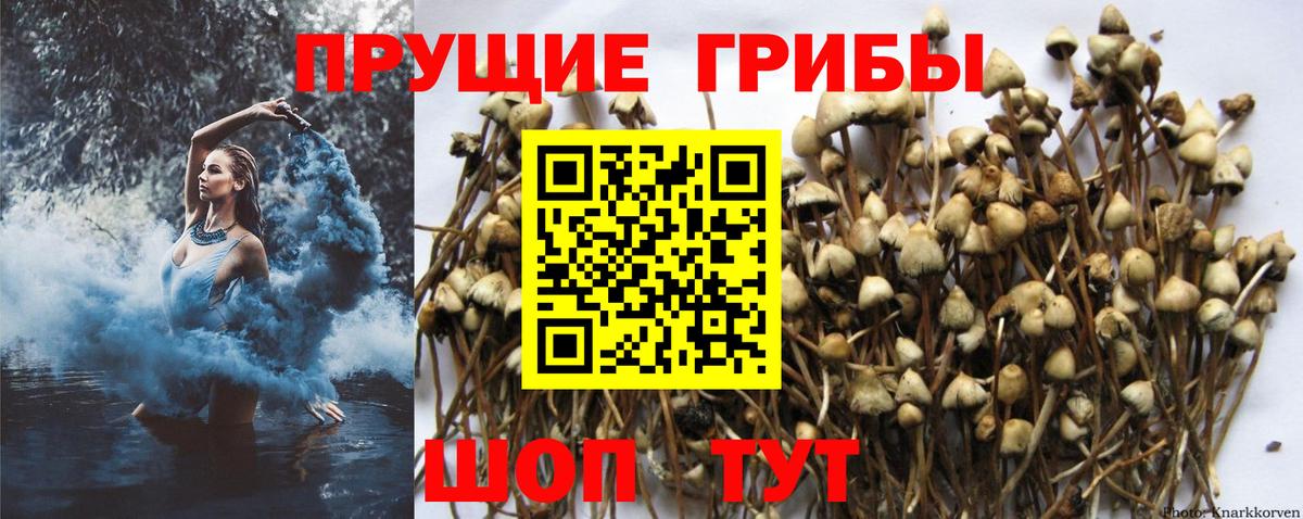 Галлюциногенные грибы мицелий Комсомольск-на-Амуре